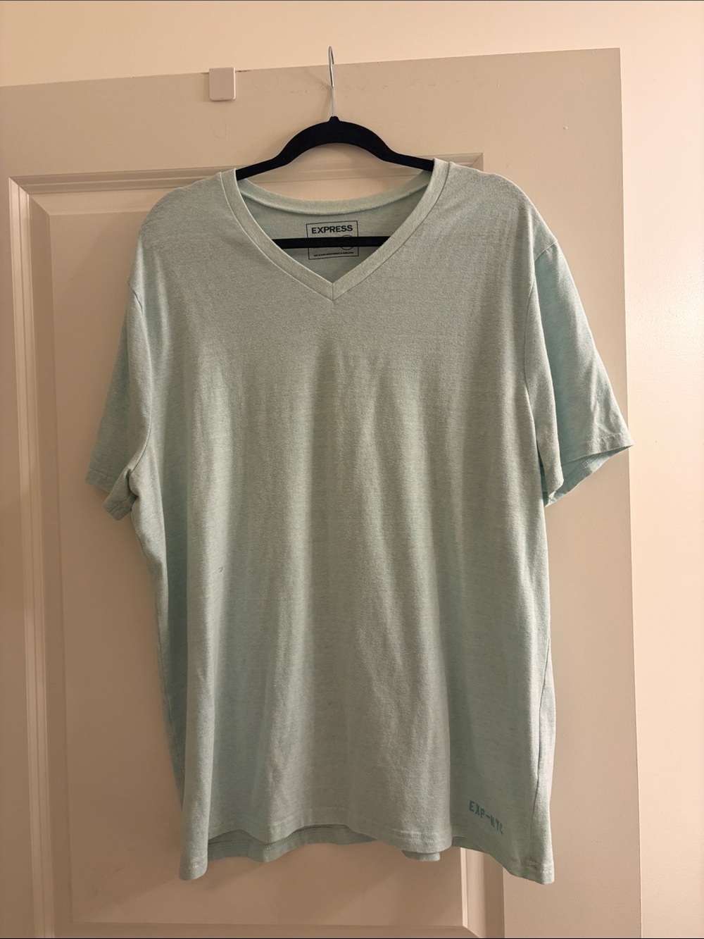 Express Men's V-Neck T-Shirt in Mint Green